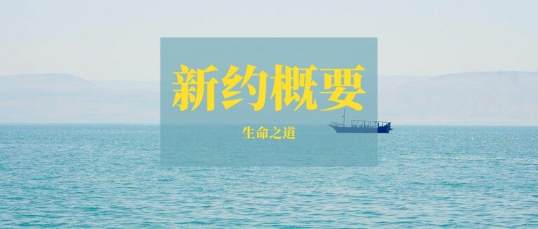 提摩太前书概要大纲