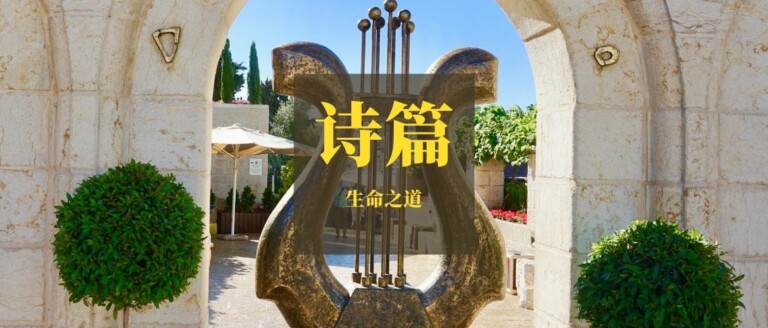 耶和华是我的盾牌（诗篇3）