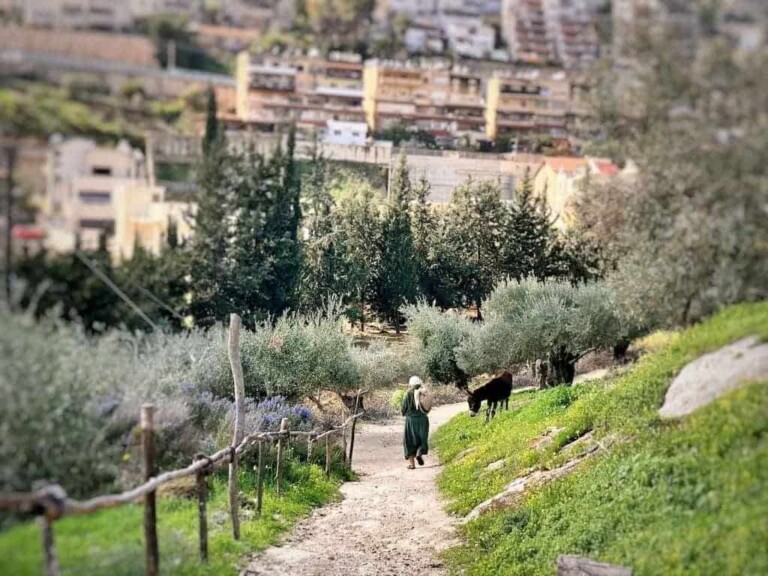 He comes to change lives (Matt 1:18-25)