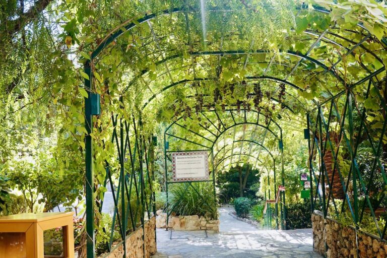 工作是侍奉(歌罗西书三22-4:1)