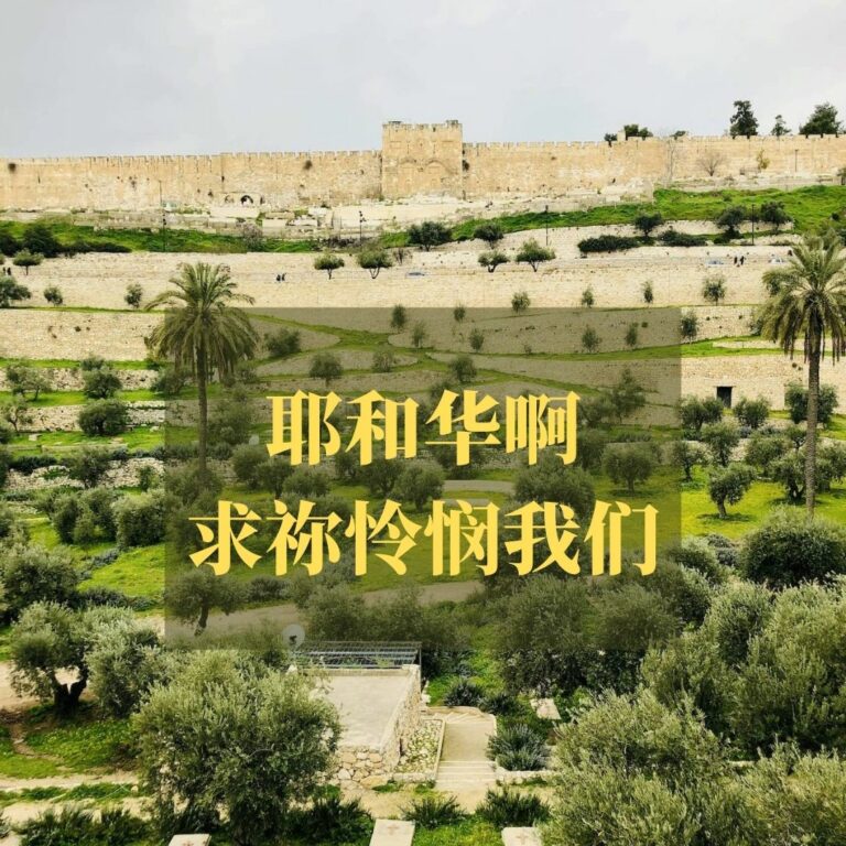 耶和华啊，求你怜悯我们（诗篇123）