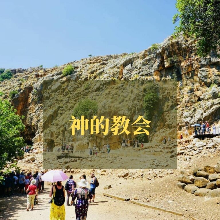 神的教会