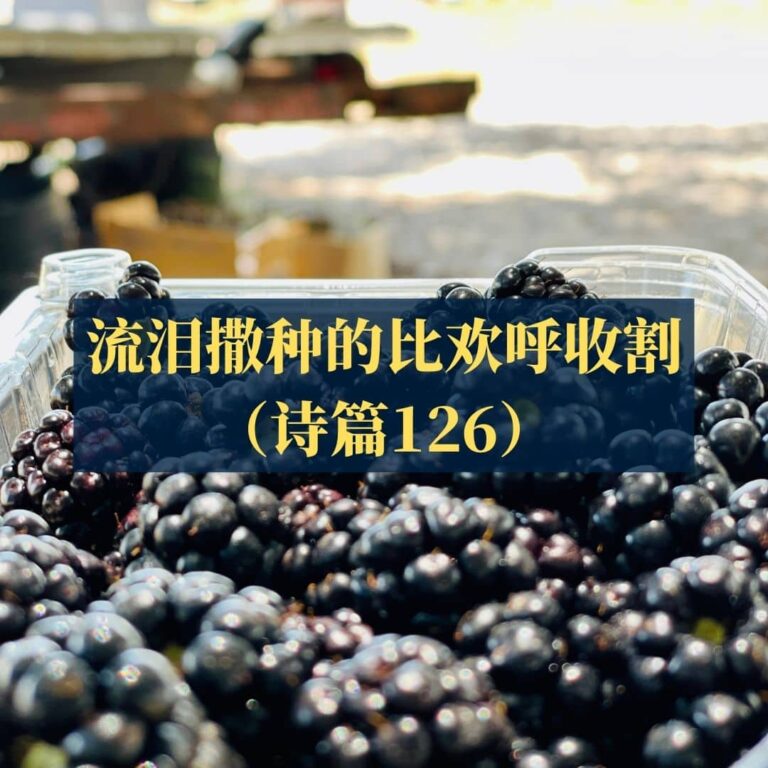 流泪撒种的必欢呼收割（诗篇126）