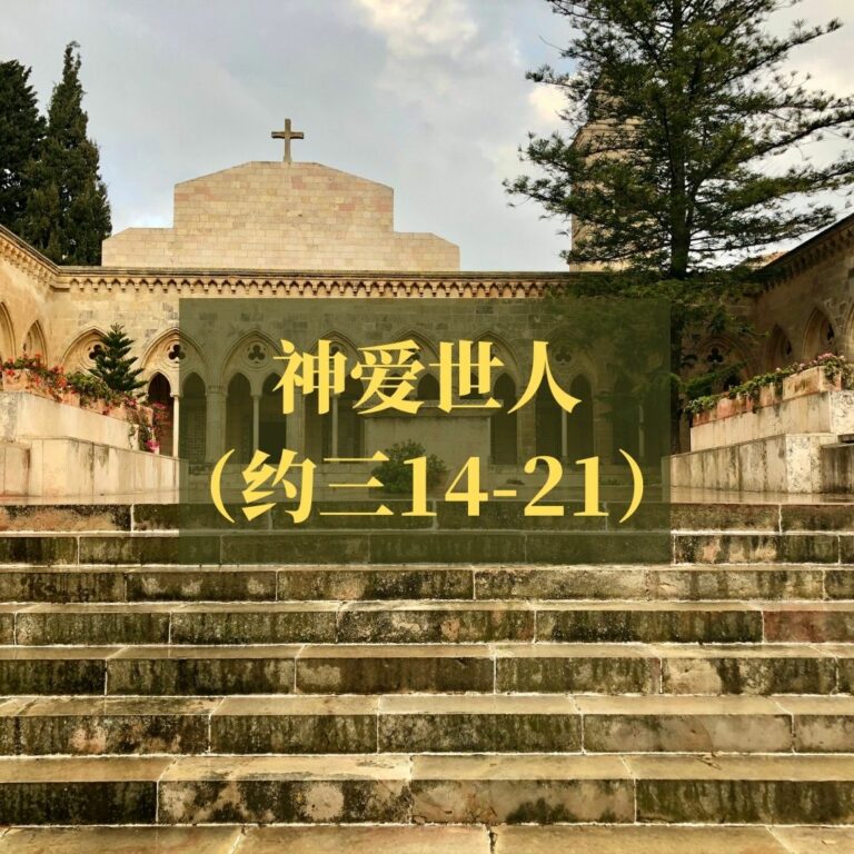 神爱世人（约翰福音三14-21）