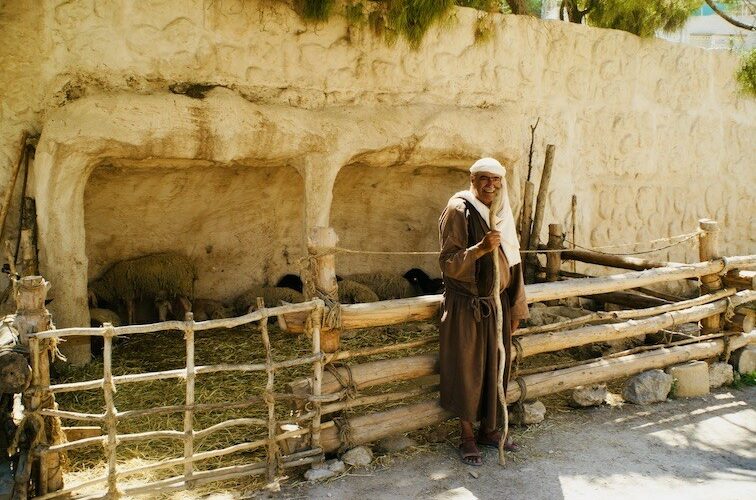 The Biblical Theology and Applications of Pastors as Shepherds, Priests ...