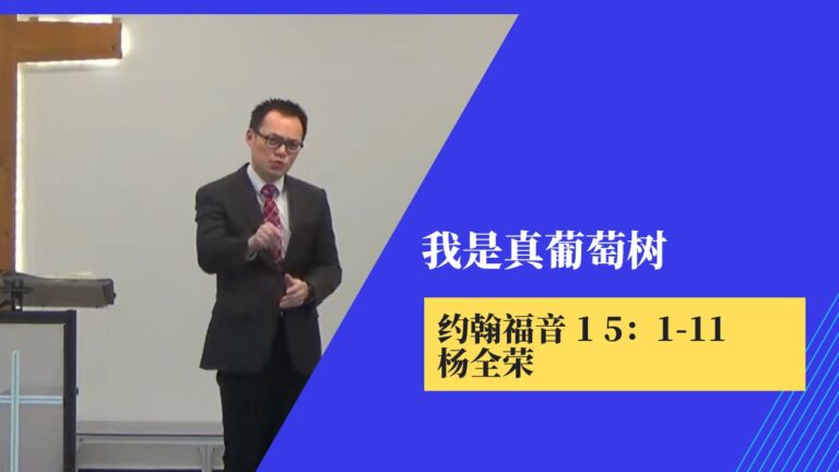 我是真葡萄树(约翰福音15:1-11)
