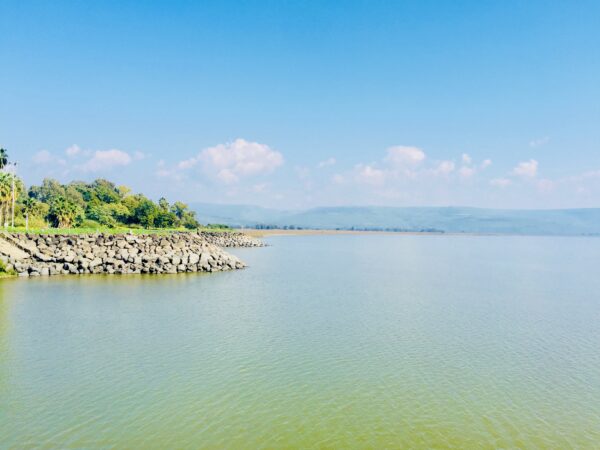 王淑珍姊妹追思礼拜-更美的家乡（希伯来书十一11-17)