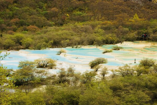 平安祭(利未记三章)