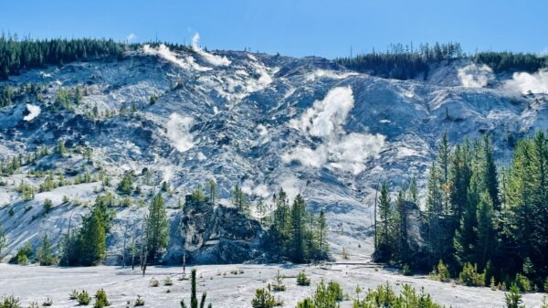 祭司在五祭的服事一(利未记六-七章)