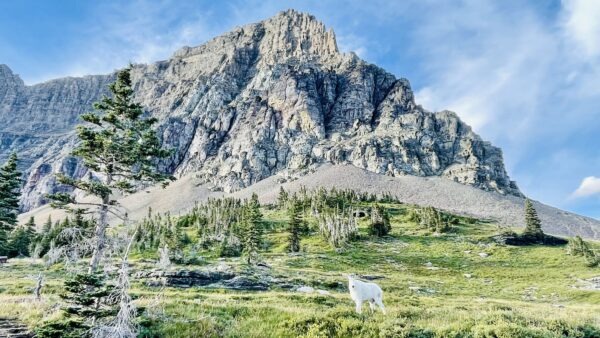 约柜、陈设饼的桌和金灯台(出埃及记第二十五章)