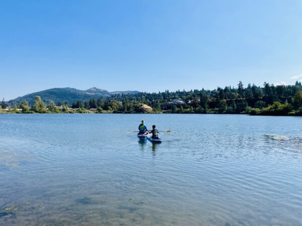 罪的源头(利未记十二章)