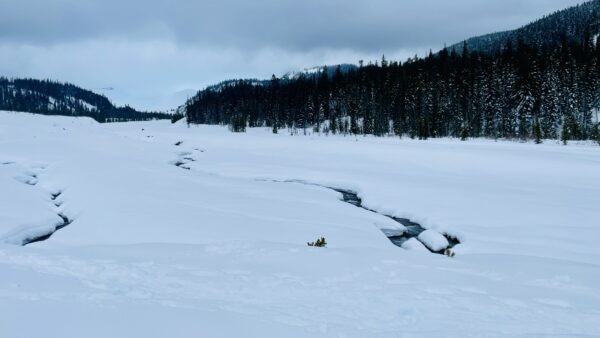 侍奉的属灵原则(贴前二1-6)