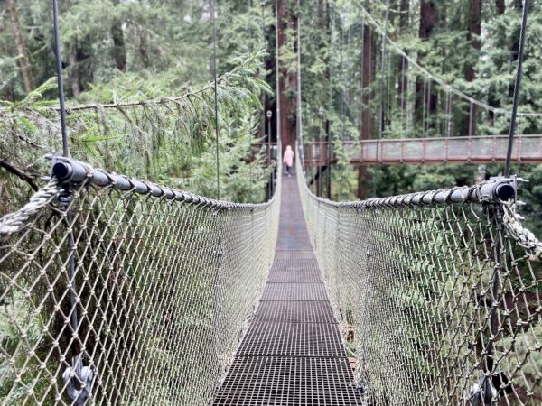 再次立约和面容发光(出埃及记三十四章)