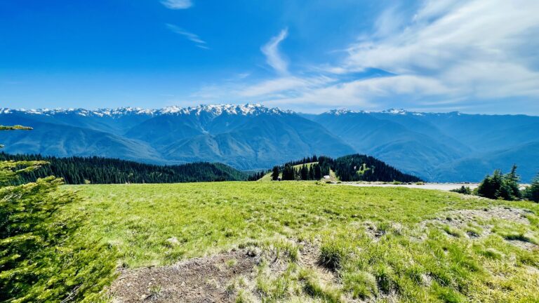 什么是健康的基督徒？ (提多书3:1-7)