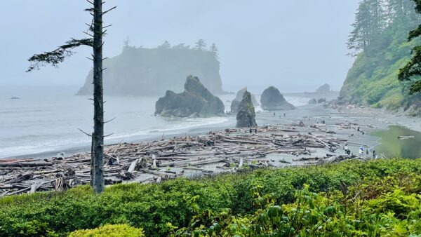 以色列人拜金牛犊(出埃及记第三十二章)