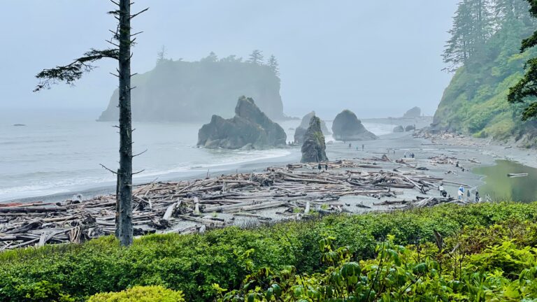 以色列人拜金牛犊(出埃及记第三十二章)