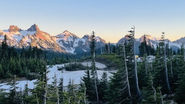 向律法死，归给基督 (罗马书七1-6)