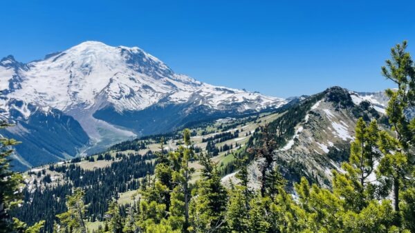 生命圣灵的律在基督耶稣里释放了我(罗马书八1-4）