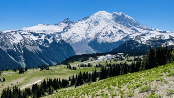 因信基督称义（加拉太书二11-16）