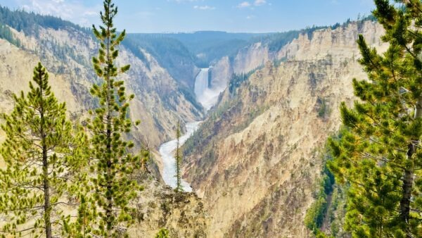 因一人的悖逆，众人成为罪人(罗马书五12-21)