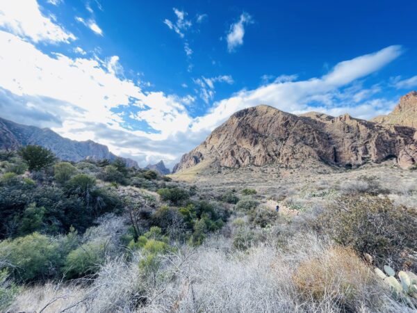 耶和华和以色列人立约(出埃及记第二十四章)